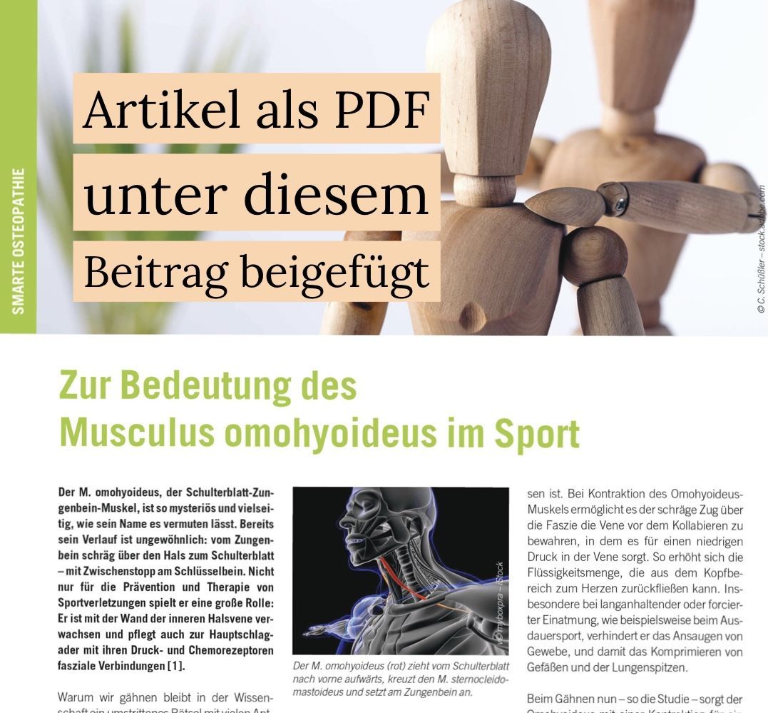 Naturheilkunde Journal - Artikel von Nico Hildebrandt