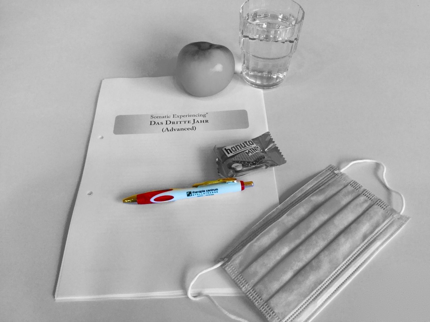 Traumatherapie Fortbildung